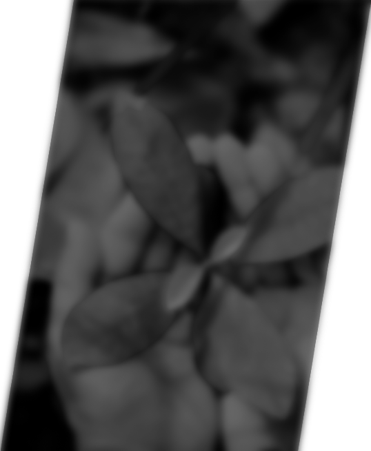 Icompliance